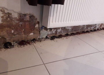 Humidity Binnenmuur (6)