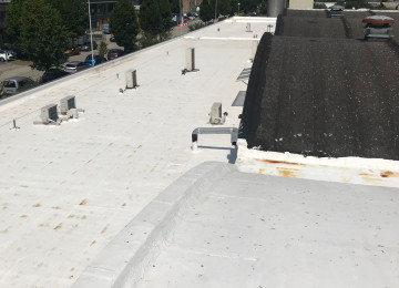 Rcs Cool&protect 8000m2 (7)