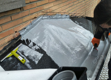 Rcs Dak Erker En Goot (12)