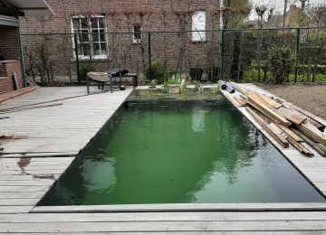 Rcs Vijver Zwemvijver (8)