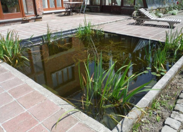 Rcs Watercoating (17)