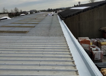 Rcs Bakgoot Industriedak (95)