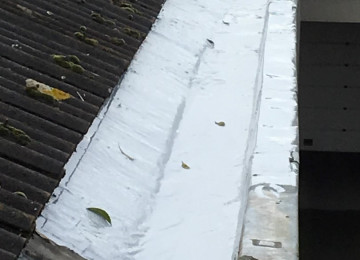 Renovatie Dakgoot (1)