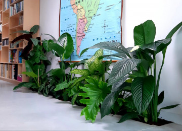 Wc2k Indoor Plantenperk (12)