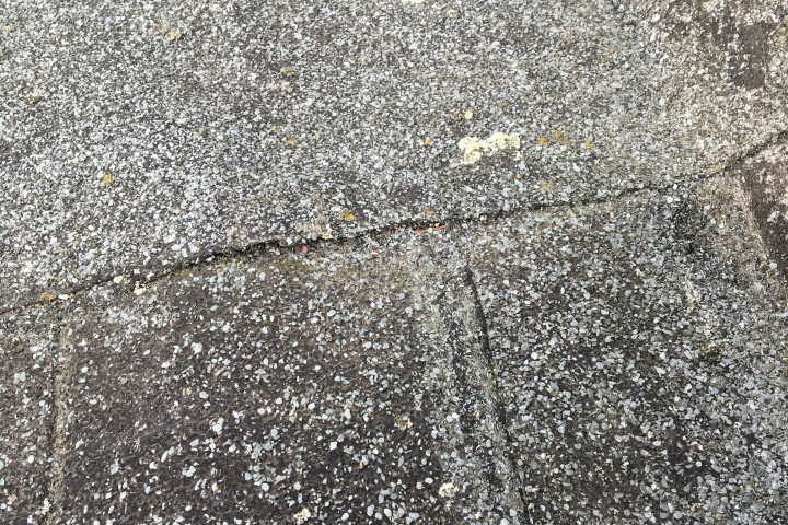 Cool R Cortes Deerlijk (14)