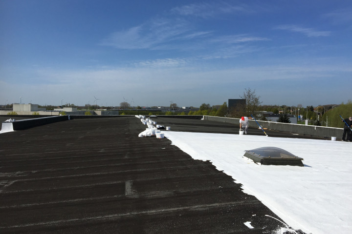 Cool R Cortes Deerlijk (22)