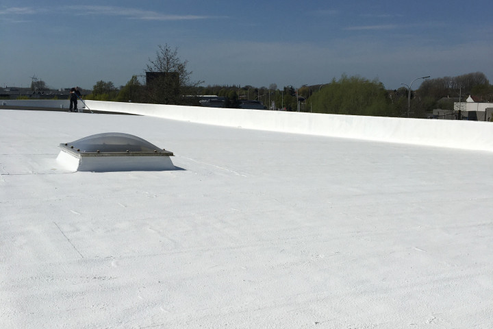 Cool R Cortes Deerlijk (25)