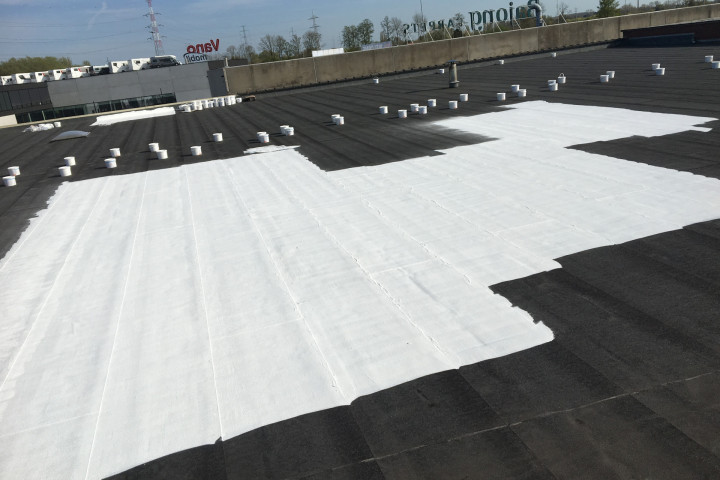 Cool R Cortes Deerlijk (27)