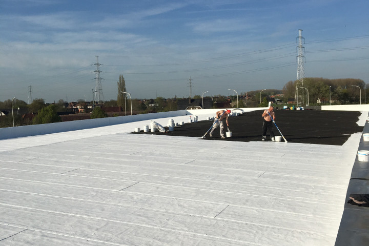 Cool R Cortes Deerlijk (31)