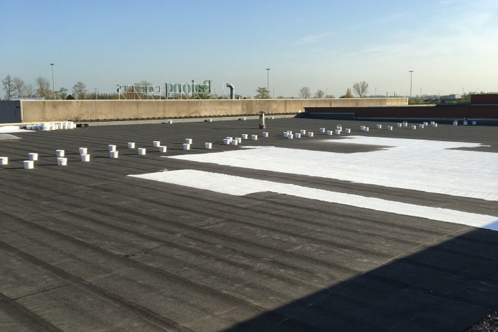 Cool R Cortes Deerlijk (33)