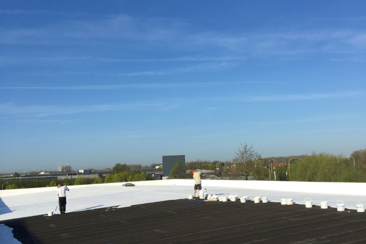 Cool R Cortes Deerlijk (34)