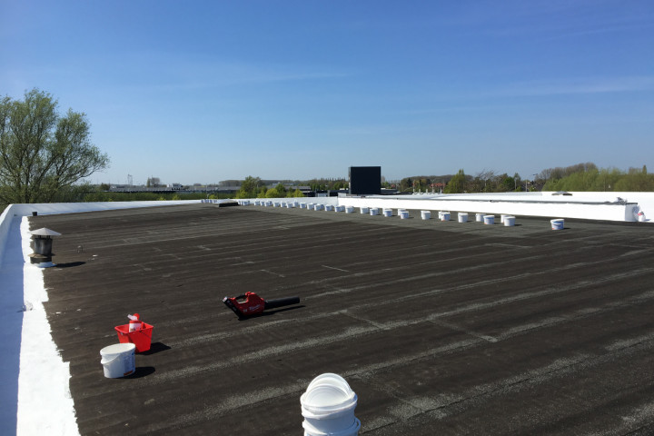 Cool R Cortes Deerlijk (41)