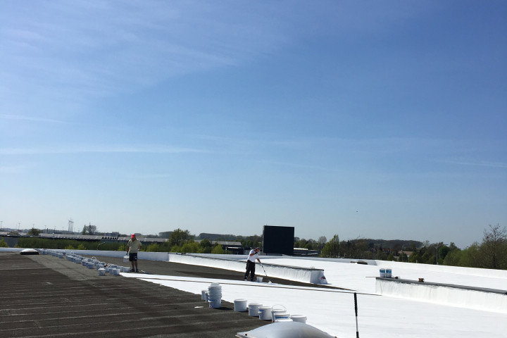 Cool R Cortes Deerlijk (44)