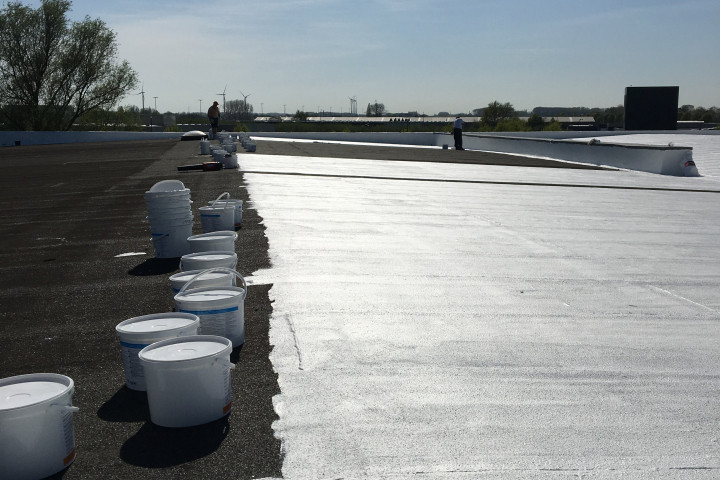 Cool R Cortes Deerlijk (46)