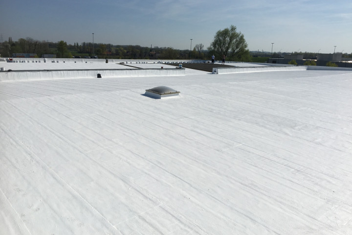 Cool R Cortes Deerlijk (48)