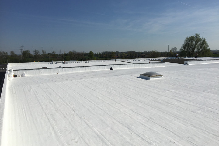 Cool R Cortes Deerlijk (50)