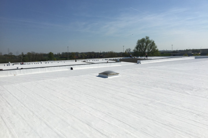 Cool R Cortes Deerlijk (51)