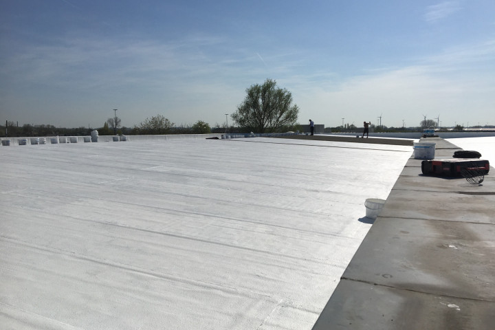 Cool R Cortes Deerlijk (52)