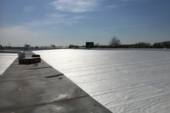 Cool R Cortes Deerlijk (53)