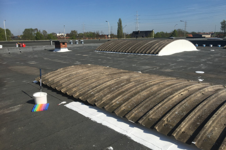 Cool R Cortes Deerlijk (58)