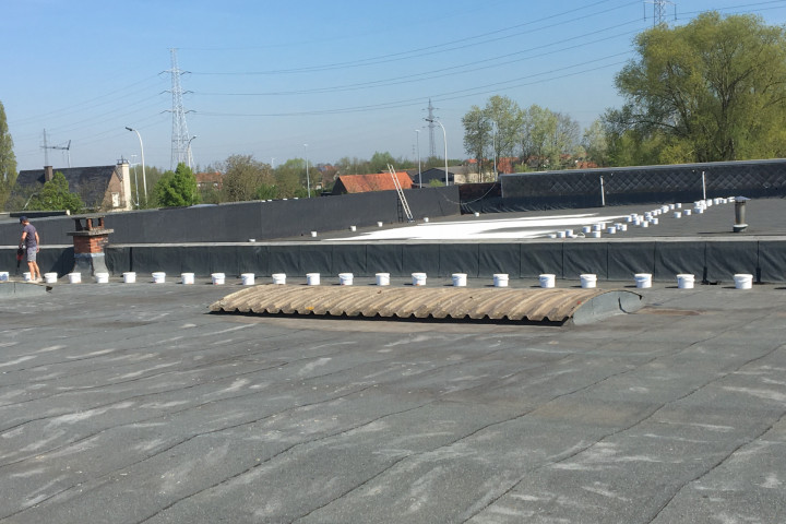 Cool R Cortes Deerlijk (60)