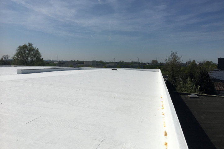 Cool R Cortes Deerlijk (63)