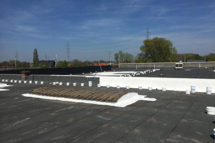 Cool R Cortes Deerlijk (67)