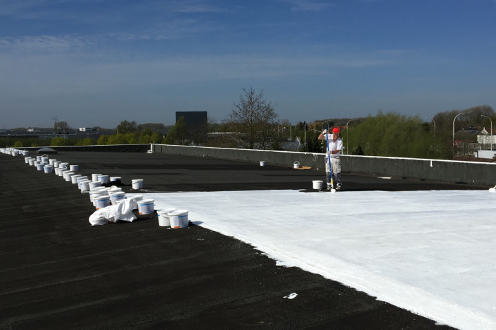 Cool R Cortes Deerlijk (7)