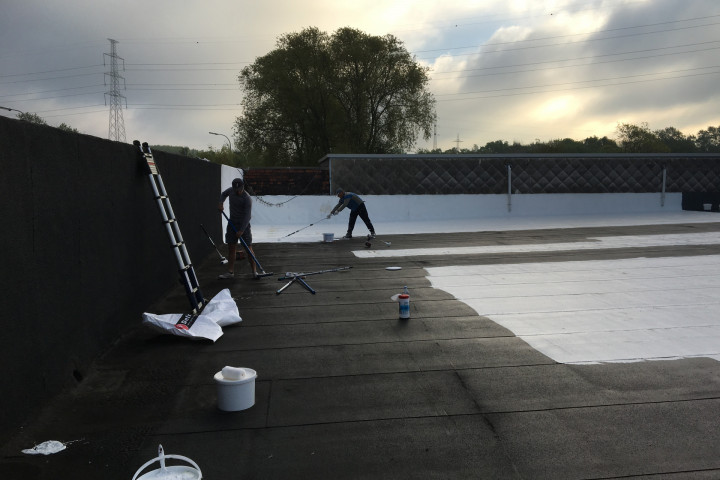 Cool R Cortes Deerlijk (71)