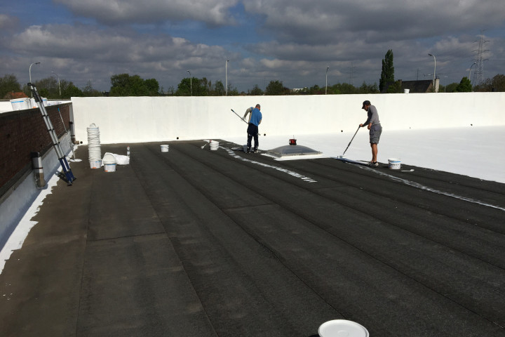 Cool R Cortes Deerlijk (74)