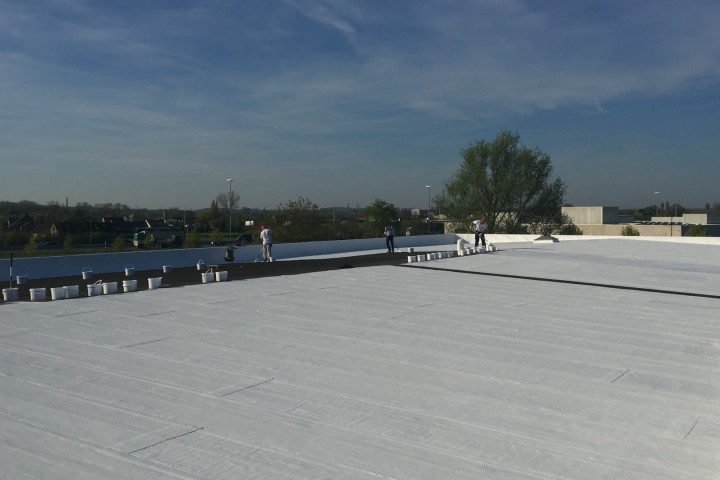 Cool R Cortes Deerlijk (79)