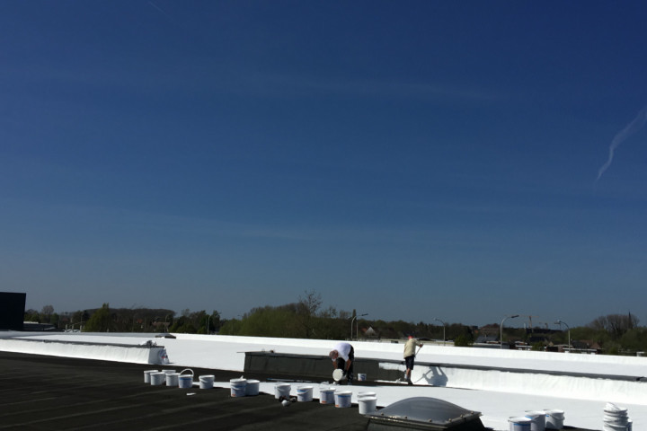 Cool R Cortes Deerlijk (9)