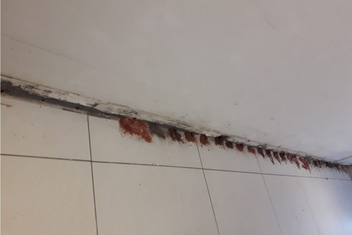 Humidity Binnenmuur (2)