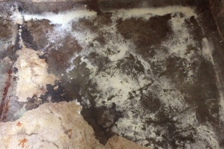 Humidity Binnenzijde Kelder (15)