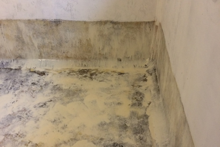 Humidity Binnenzijde Kelder (24)