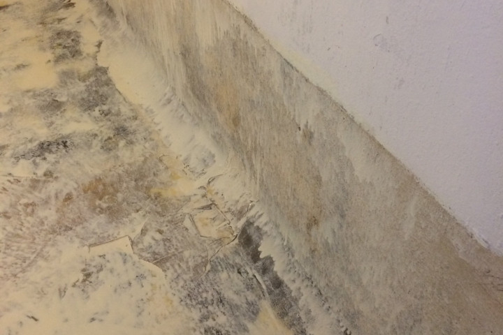 Humidity Binnenzijde Kelder (25)