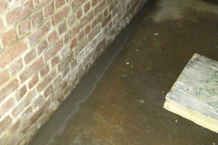 Humidity Gemetste Kelder (30)