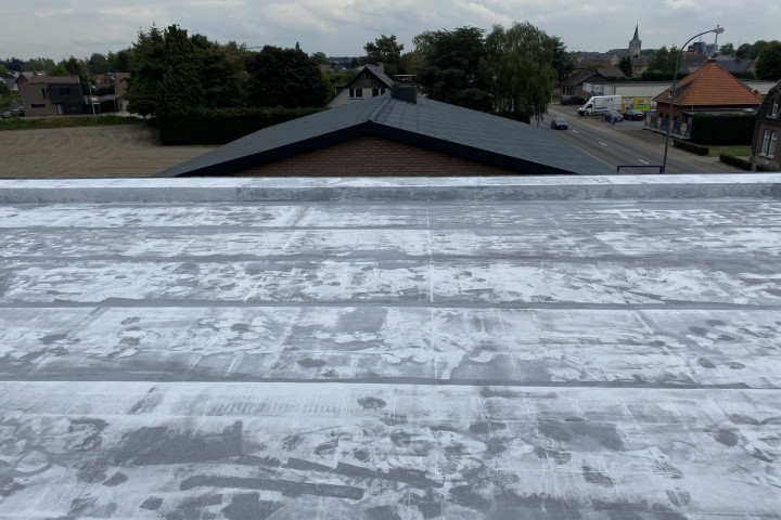 Rcs Dak Dampscherm En Dak (24)