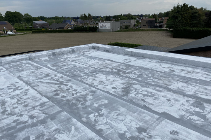 Rcs Dak Dampscherm En Dak (25)