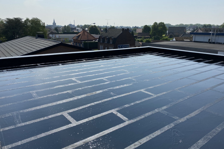 Rcs Dak Dampscherm En Dak (4)