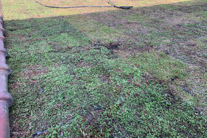 Rcs Dak Groendak (4)