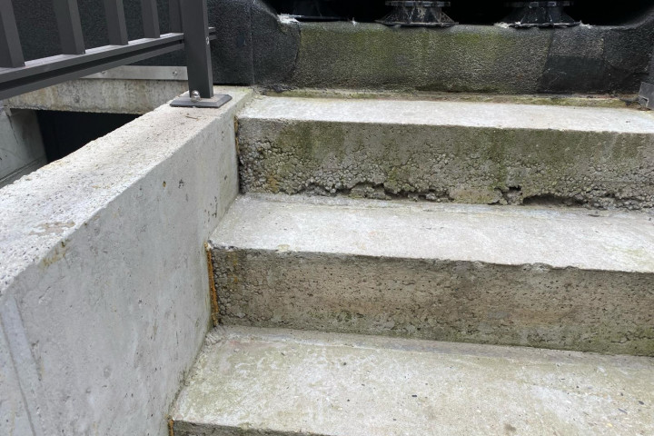 Rcs Dak Trap Met Antislip (1)