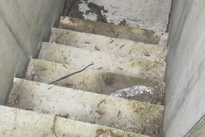 Rcs Dak Trap Met Antislip (10)