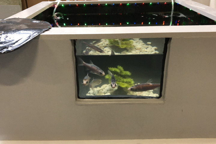 Rcs Top Team 2019 (2)