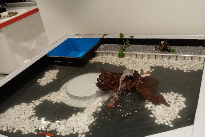 Rcs Top Team 2020 (2)