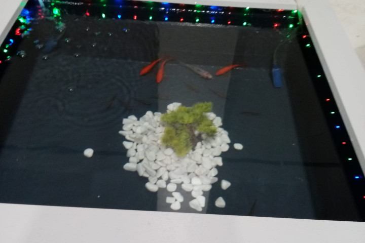 Rcs Top Team 2020 (3)