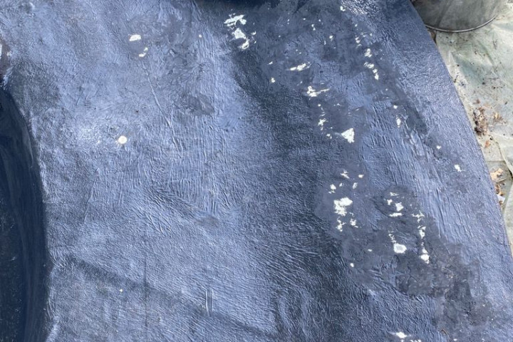 Rcs Vijver Vijverrenovatie (28)