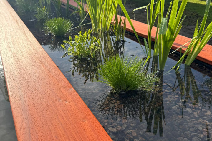 Rcs Vijver Vijver Met Plantenfilter (13)