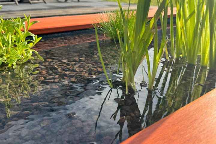 Rcs Vijver Vijver Met Plantenfilter (8)