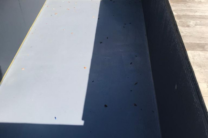 Rcs Vijver Zwemvijver (6)